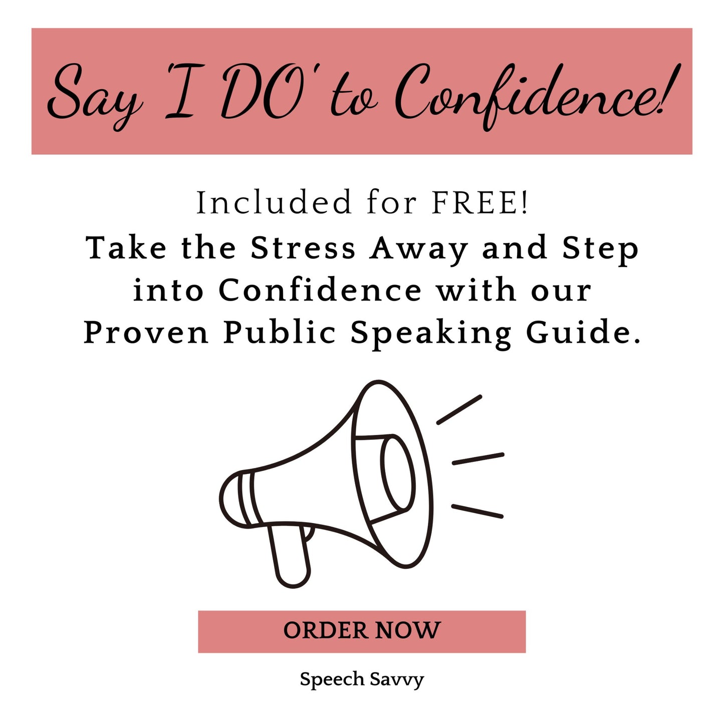 speech savvy guide to public speaking success